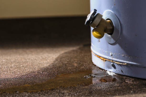 Best Local water damage restoration  in South El Monte, CA