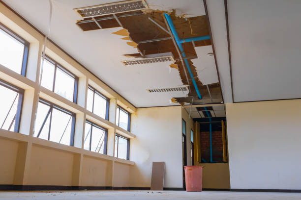  South El Monte, CA Water damage restoration Pros