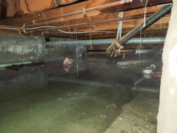 Best Water damage restoration near me  in South El Monte, CA