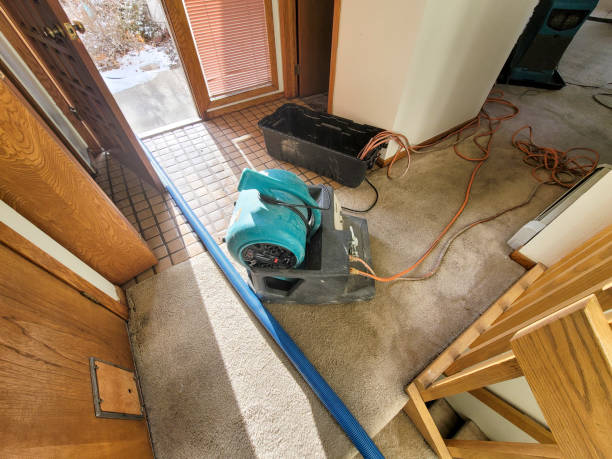 Best Water damage restoration near me  in South El Monte, CA