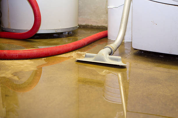 Sewage cleanup and water damage restoration in South El Monte, CA