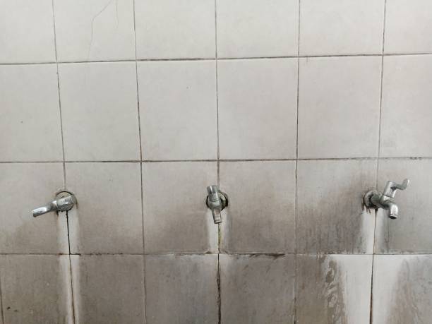 Professional Water damage restoration in South El Monte, CA