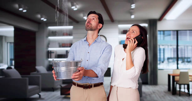 Best Sewage cleanup and water damage restoration  in South El Monte, CA